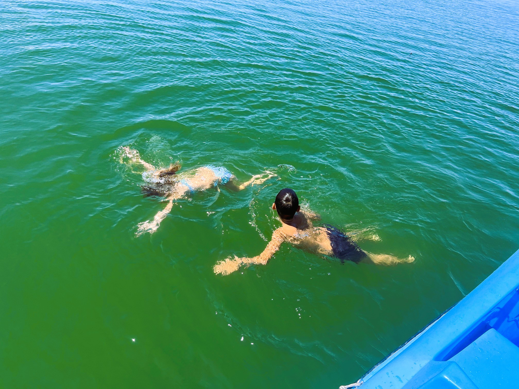Ein Mädchen und ein Junge schwimmen im Ammersee